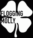 Spirit Tour mit Flogging Molly