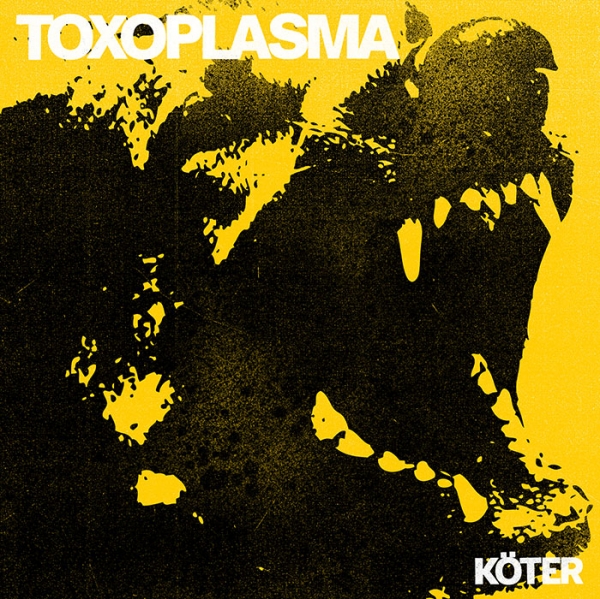 TOXOPLASMA – KÖTER