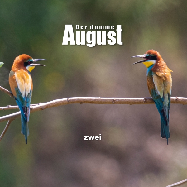DER DUMME AUGUST – Two (orange vinyl !!! + download code) / download / stream